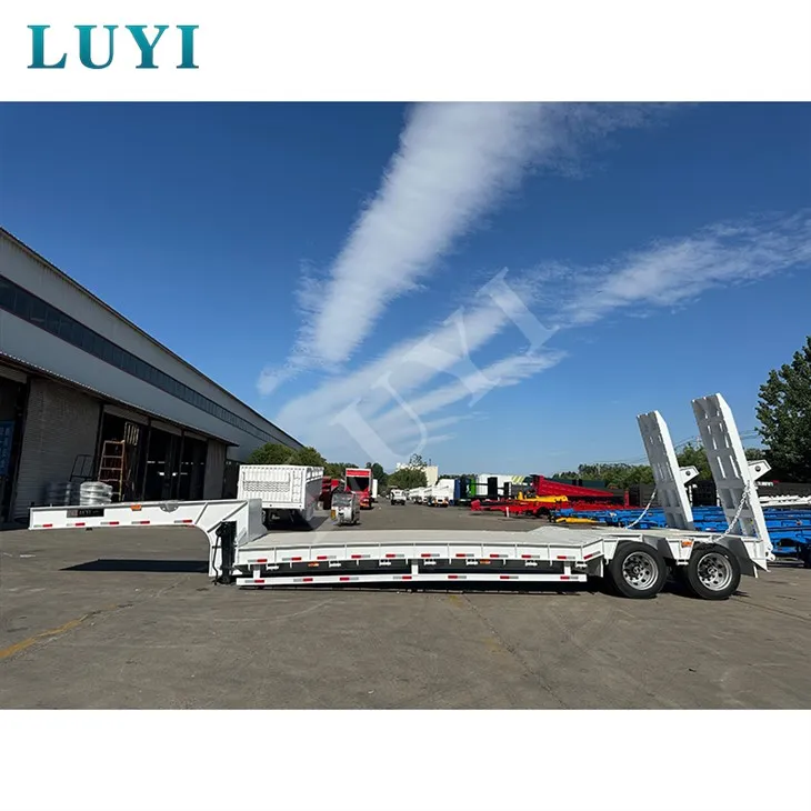 Dois caminhões semi -caminhões semi -deco